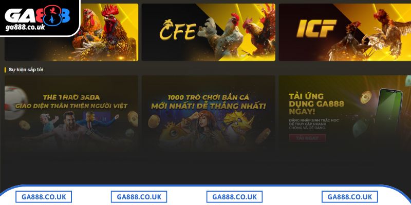 Giới thiệu điểm chung về thế giới đá gà GA888
