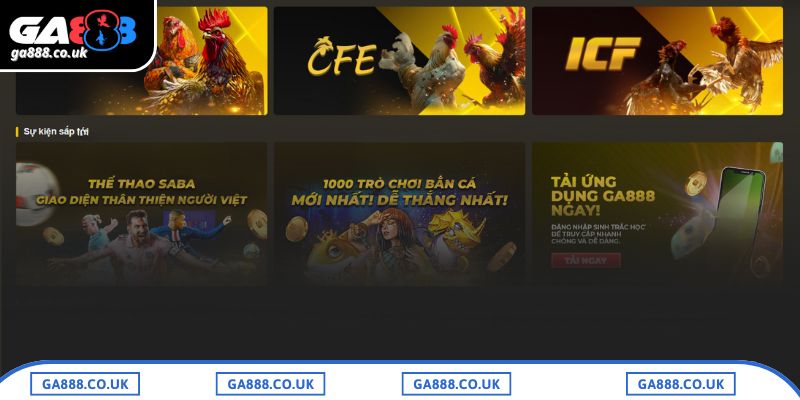 Khám phá đa dạng trận đấu ở đá gà GA888