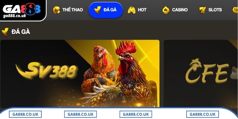 Ưu điểm nổi bật khi xem đá gà C3 tại GA888